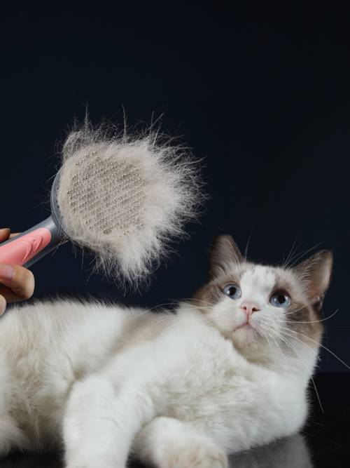 Pet Grooming - Cat & Dog Hair Brush